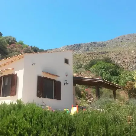 Agave Scopello * Scopello (Sicily)