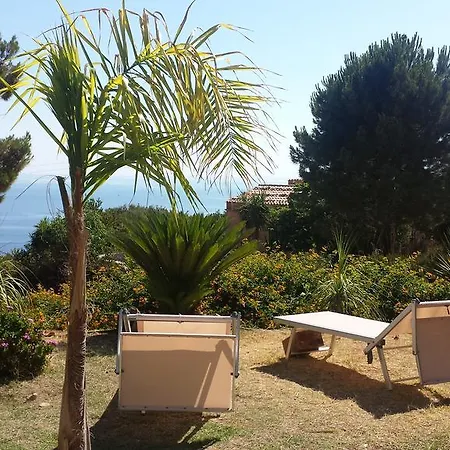 Agave Scopello * Scopello (Sicily)