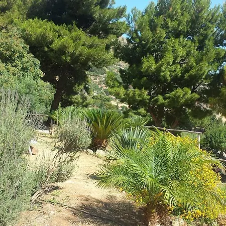 Agave Scopello * Scopello (Sicily)