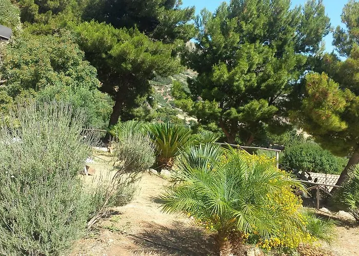 Agave * Scopello (Sicily)