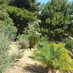 Agave * 스코펠로