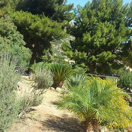 Agave * Scopello (Sicily)